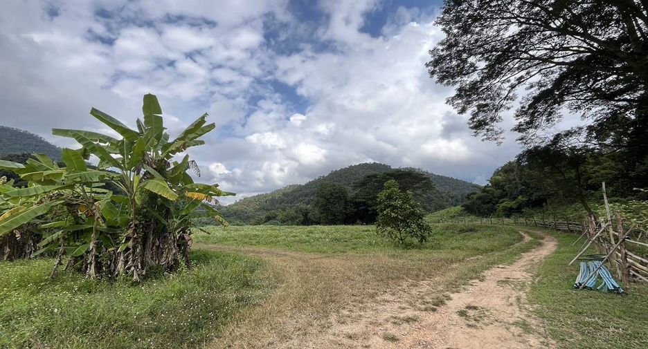 For sale land in Samoeng, Chiang Mai