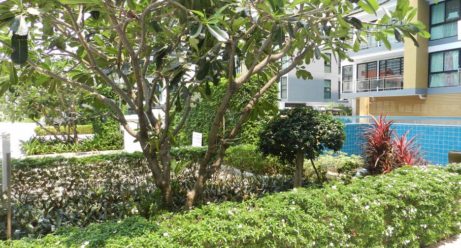 Condo en alquiler de 1 habitaciones en Bang Lamung, Chonburi