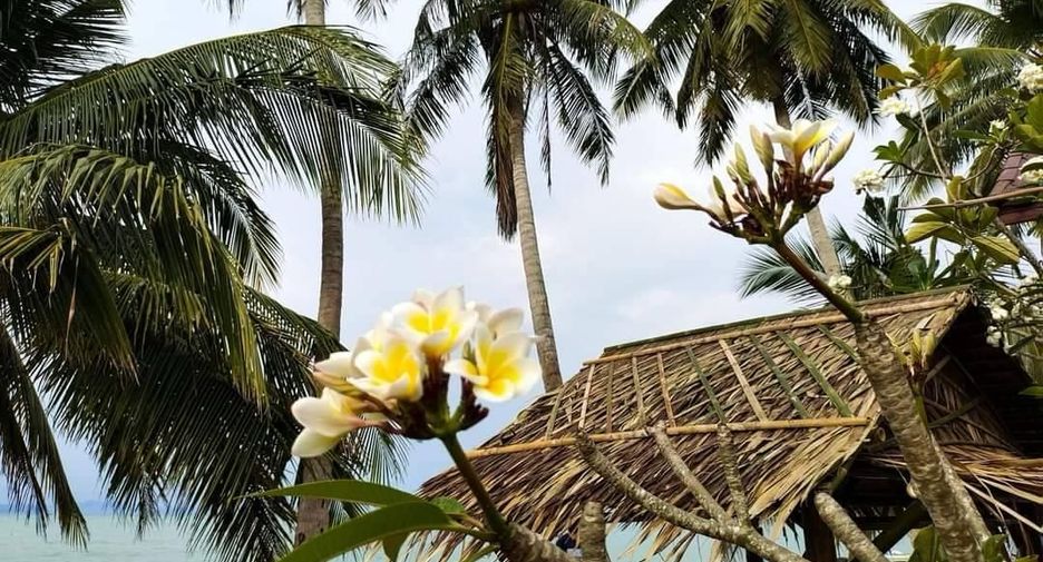 For rent 2 bedrooms house in Ko Samui, Surat Thani