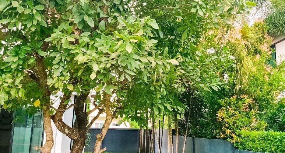 For rent 4 bedrooms house in Hang Dong, Chiang Mai