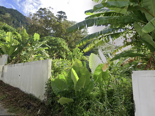 For sale land in Kathu, Phuket