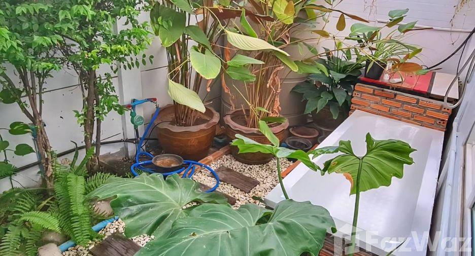For rent 3 bedrooms townhouse in Mueang Chiang Mai, Chiang Mai