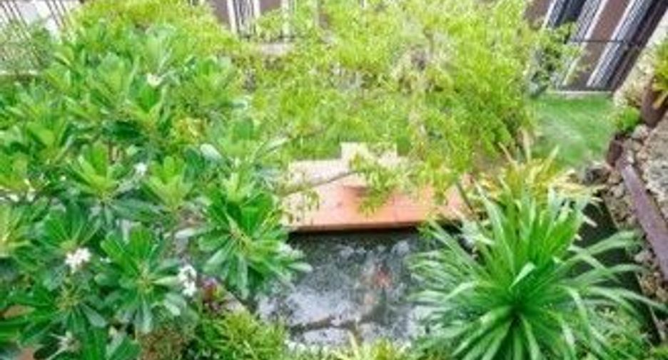 For rent 5 bedrooms house in San Sai, Chiang Mai