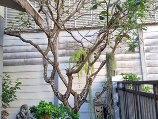 For sale 3 bedrooms townhouse in Bang Khen, Bangkok