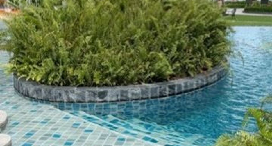 For rent 1 bed condo in Hua Hin, Prachuap Khiri Khan