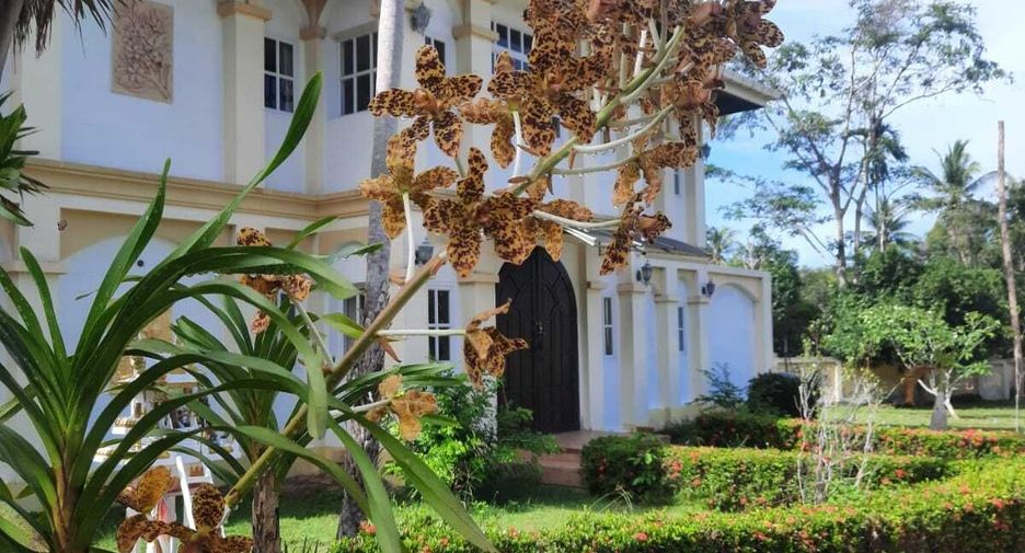 For rent 3 bedrooms villa in Ko Samui, Surat Thani