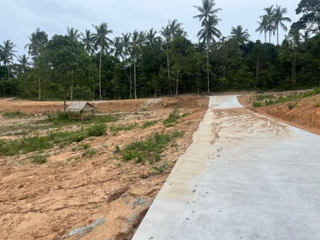 ขาย ที่ดิน ใน เกาะสมุย, สุราษฎร์ธานี