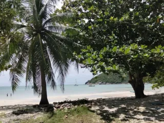 À vendre terrain à Ko Pha-ngan, Surat Thani