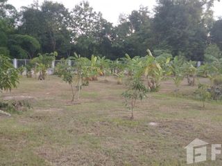 出售 6 卧室 独立屋 在 Doi Saket, Chiang Mai
