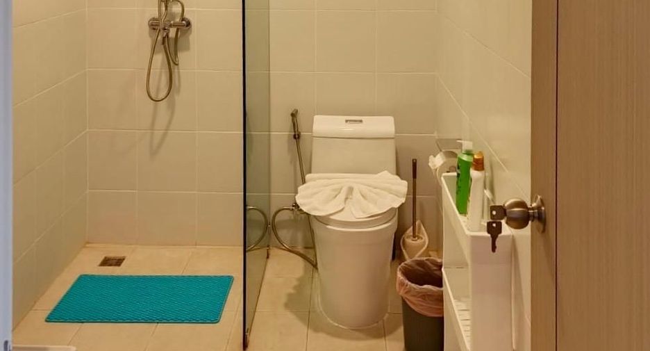 For rent studio house in Ko Samui, Surat Thani
