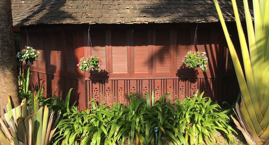 For sale 4 bedrooms house in San Sai, Chiang Mai