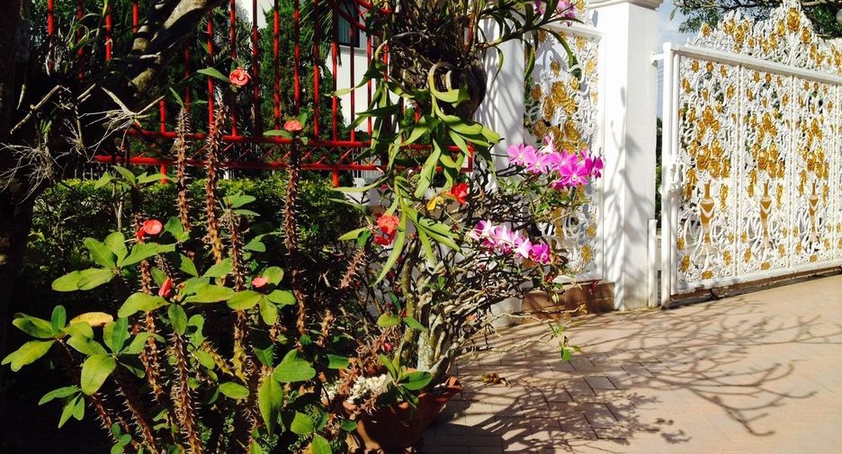 For sale 4 bedrooms house in San Sai, Chiang Mai