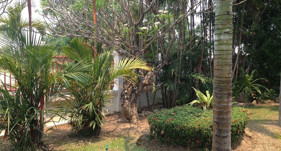 For sale 4 bedrooms house in San Sai, Chiang Mai