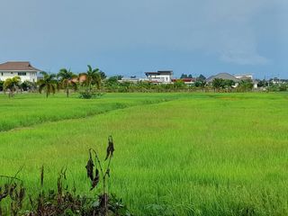 Terreno en venta en Mae Rim, Chiang Mai