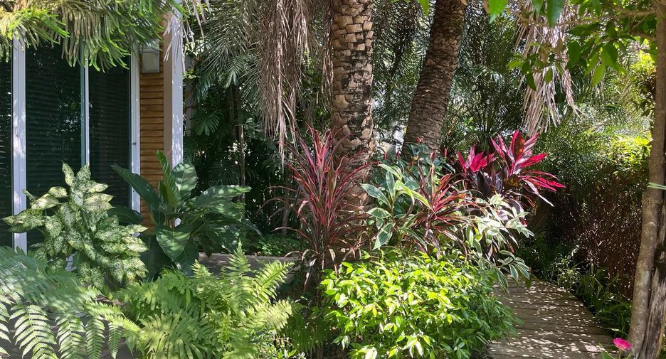 For sale 4 bedrooms house in Mae Rim, Chiang Mai