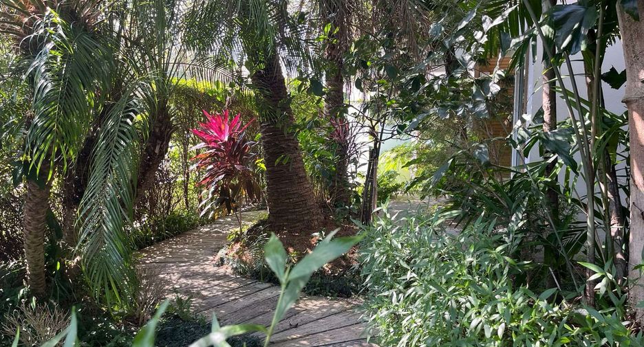 For sale 4 bedrooms house in Mae Rim, Chiang Mai