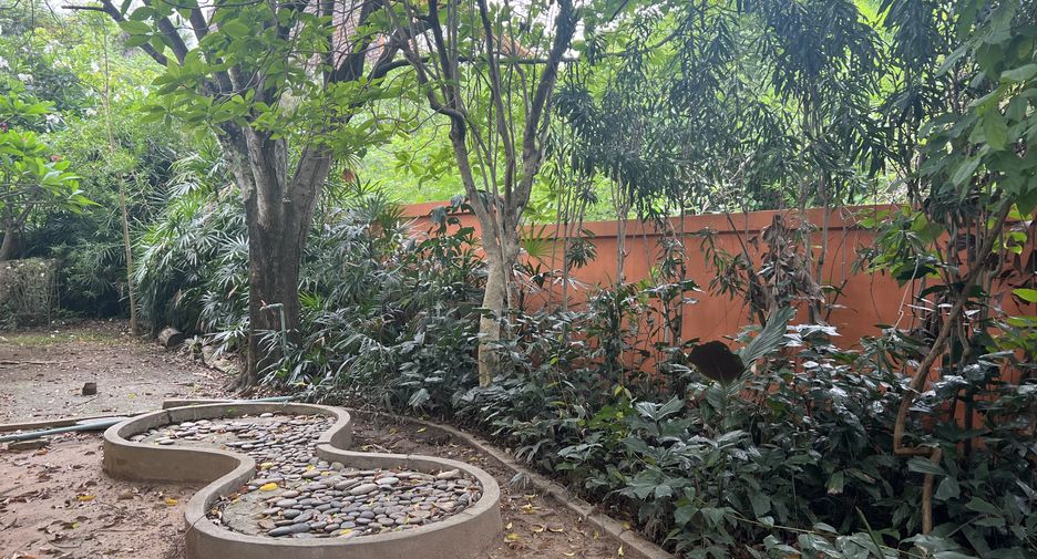 For sale and for rent 3 bedrooms house in Hang Dong, Chiang Mai