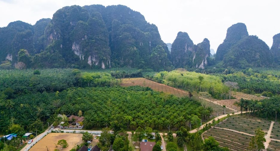 Villa en venta y en alquiler de 3 habitaciones en Mueang Krabi, Krabi