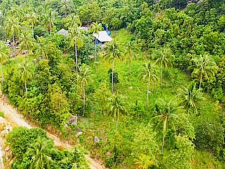 À vendre terrain à Ko Pha-ngan, Surat Thani