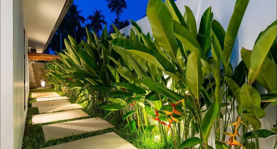 Villa en venta de 3 habitaciones en Ko Samui, Surat Thani