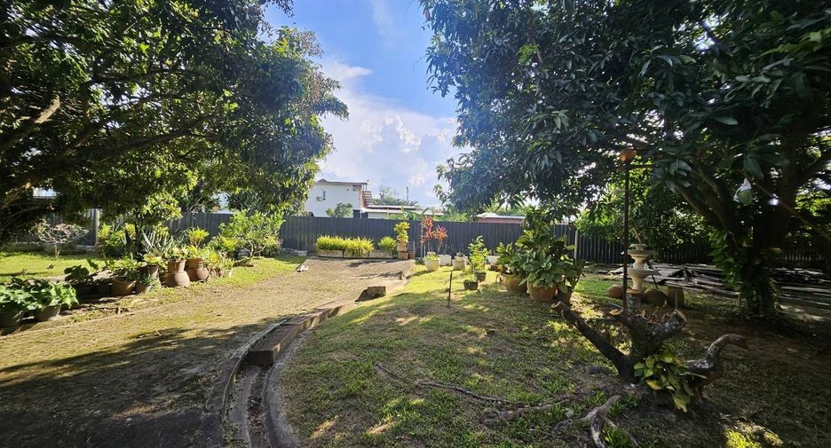 Haus zum Kauf mit 5 Zimmer in San Sai, Chiang Mai