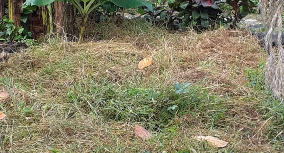 For sale land in Ko Samui, Surat Thani