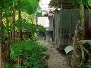 For sale land in Ko Samui, Surat Thani