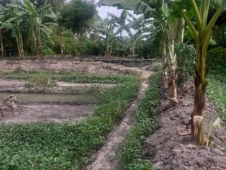 For sale land in Ko Samui, Surat Thani