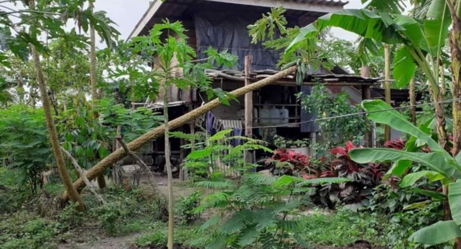 For sale land in Ko Samui, Surat Thani