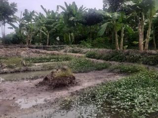 For sale land in Ko Samui, Surat Thani
