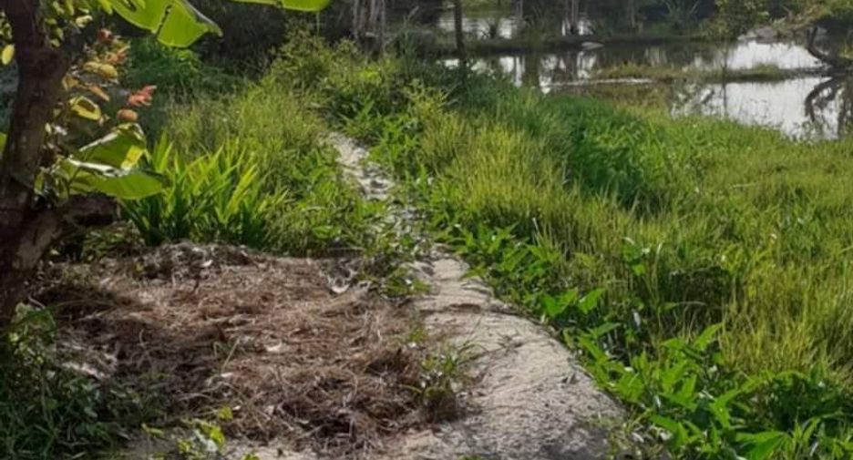 For sale land in Ko Samui, Surat Thani