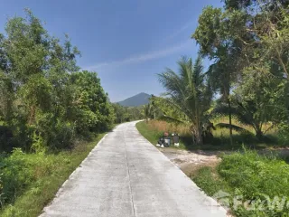 À vendre terrain à Ko Pha-ngan, Surat Thani