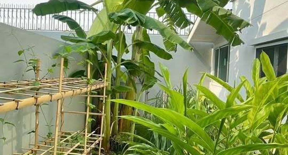 Haus zum Kauf mit 3 Zimmer in San Sai, Chiang Mai