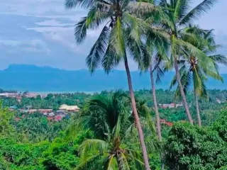 For sale 3 bedrooms villa in Ko Samui, Surat Thani