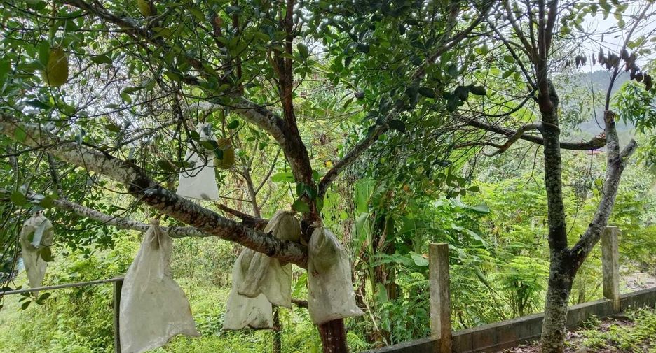 Haus zur Miete mit 2 Zimmer in Mueang Krabi, Krabi