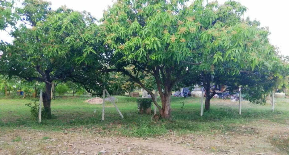 Terreno en venta en Sam Roi Yot, Prachuap Khiri Khan
