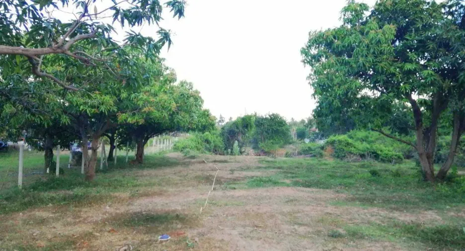 Terreno en venta en Sam Roi Yot, Prachuap Khiri Khan
