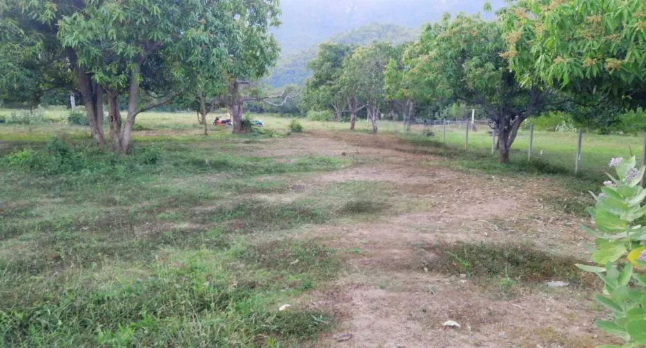 Terreno en venta en Sam Roi Yot, Prachuap Khiri Khan