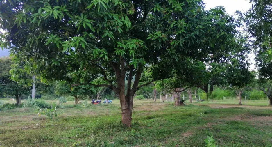 Terreno en venta en Sam Roi Yot, Prachuap Khiri Khan