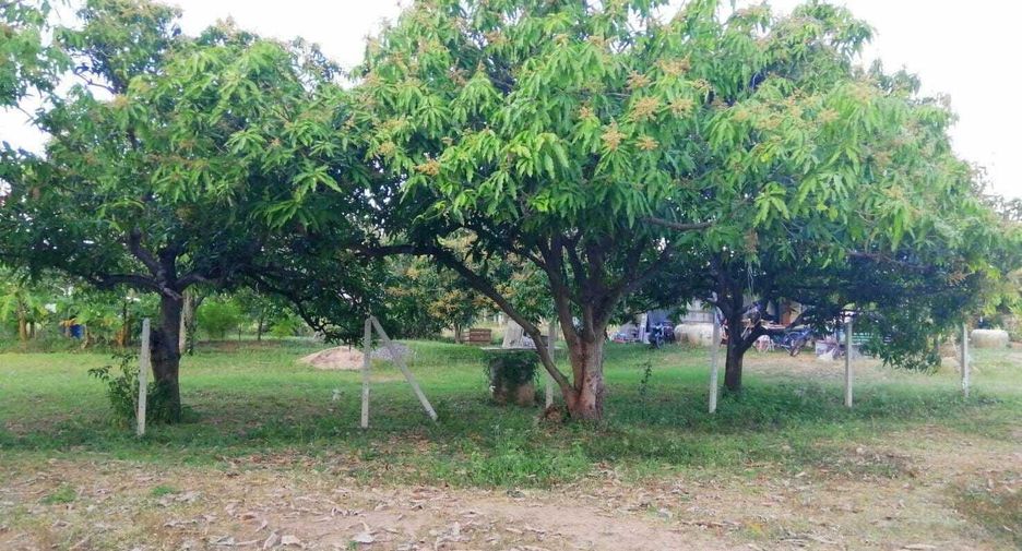 Terreno en venta en Sam Roi Yot, Prachuap Khiri Khan