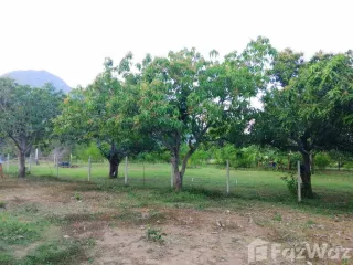 For sale land in Sam Roi Yot, Prachuap Khiri Khan