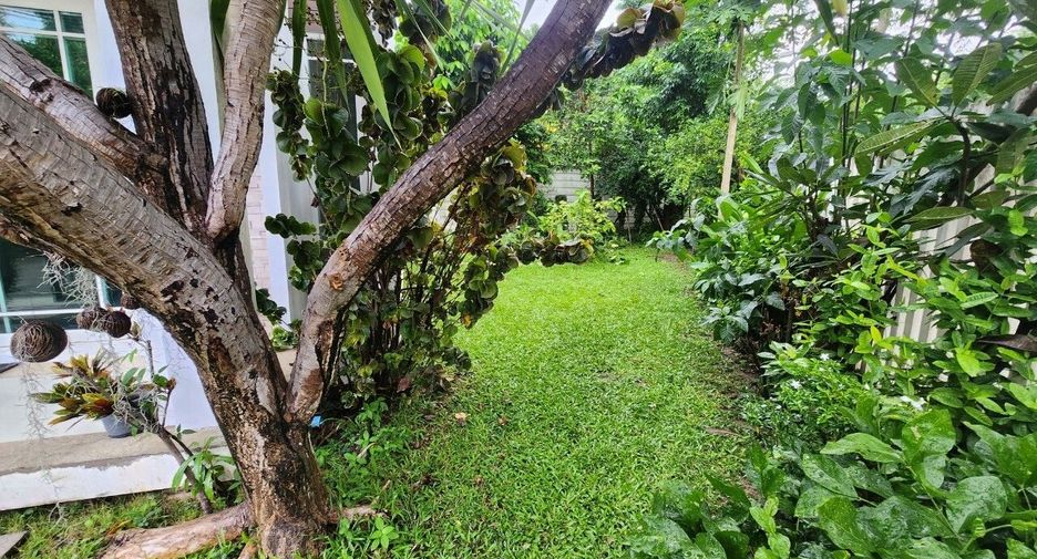 For rent 3 bedrooms house in Mueang Chiang Mai, Chiang Mai