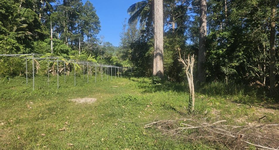 For sale land in Ko Samui, Surat Thani