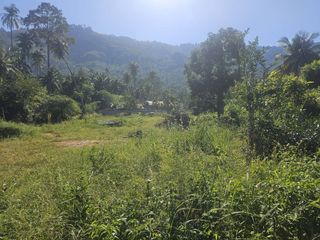 For sale land in Ko Samui, Surat Thani