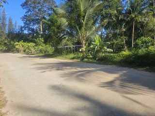 For sale land in Ko Samui, Surat Thani