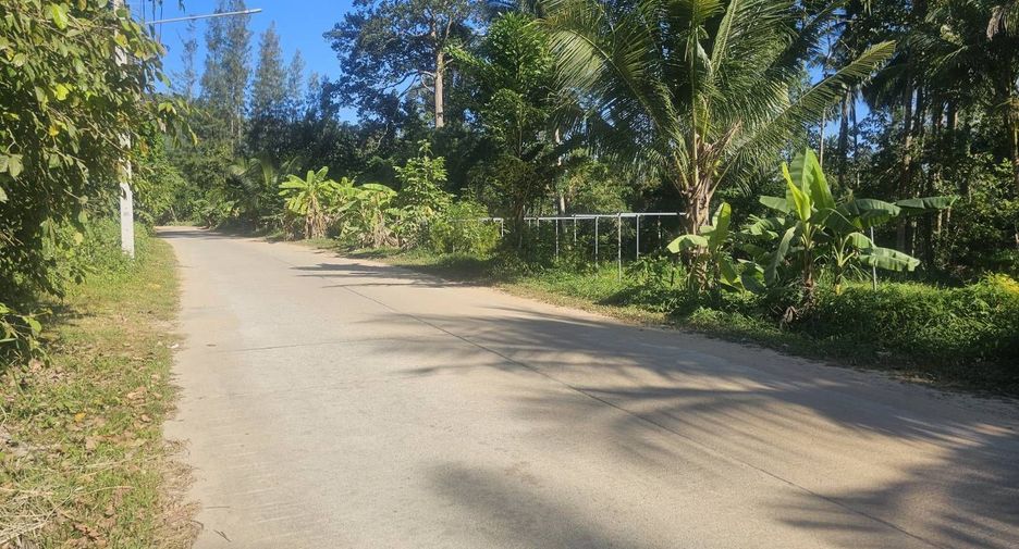 For sale land in Ko Samui, Surat Thani