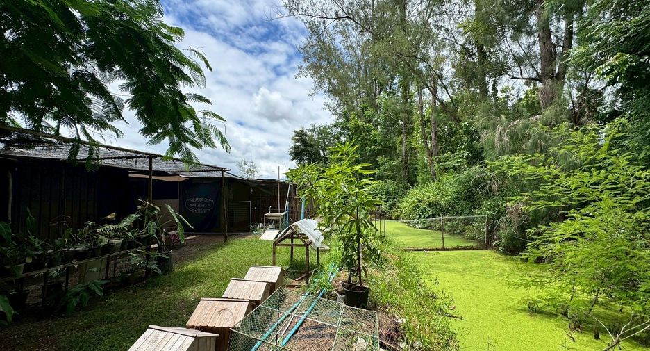 Grundstück zum Kauf in San Kamphaeng, Chiang Mai