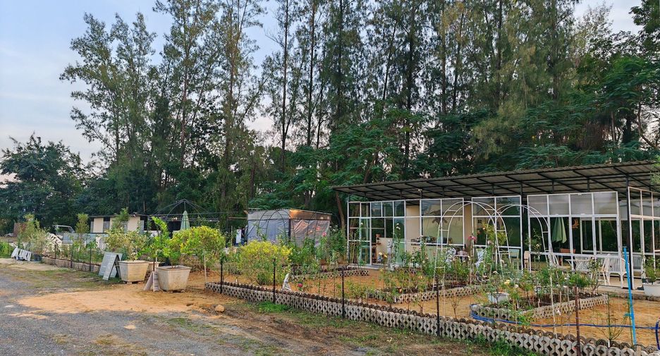Grundstück zum Kauf in San Kamphaeng, Chiang Mai