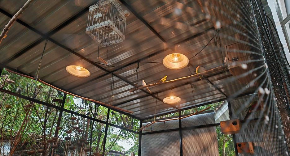 Grundstück zum Kauf in San Kamphaeng, Chiang Mai