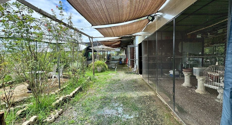 For sale land in San Kamphaeng, Chiang Mai